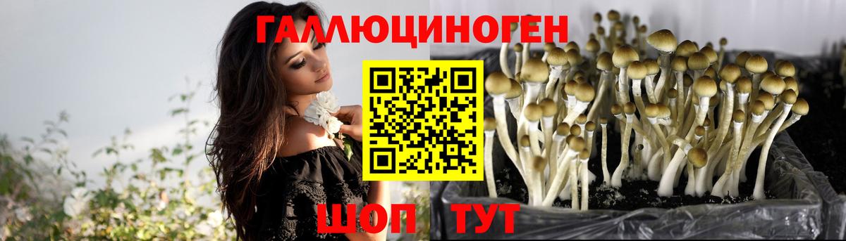 Псилоцибиновые грибы Magic Shrooms  Псилоцибиновые грибы прущие грибы  Зеленогорск  Вход с VPN 