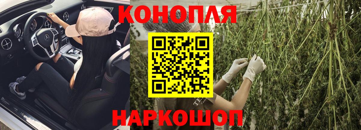 Каннабис ГИДРОПОН Зеленогорск